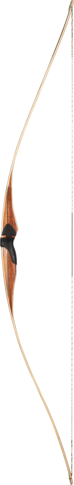 Featured Products - Bear Archery